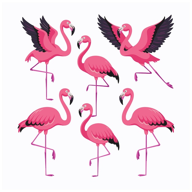 Flamenco rosado de dibujos animados en un fondo blanco aislado Vector