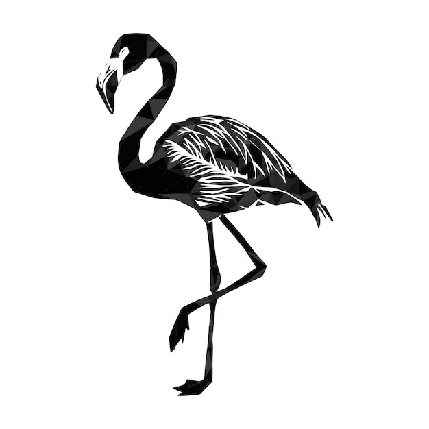 flamenco vector