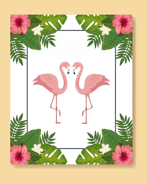 Flamencos rosa animales con hojas naturaleza