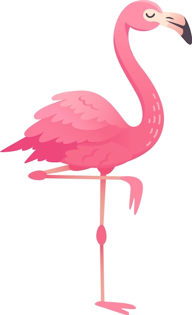 Flamingo de dibujos animados con plumas rosadas de pie en una pierna aislado sobre fondo blanco