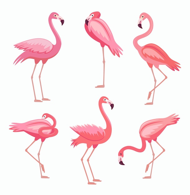 Flamingo en diferentes poses conjunto de ilustración de dibujos animados. hermoso pájaro rosa parado en una pierna. vista lateral del pájaro tropical exótico aislado sobre fondo blanco. concepto de animales salvajes