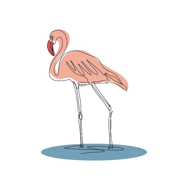 Flamingo hermoso pájaro rosa se encuentra en agua lineart