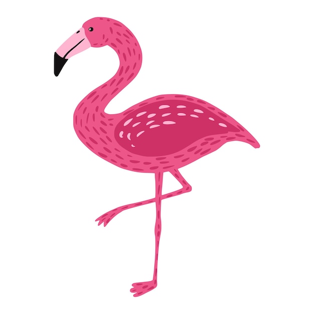Flamingo de pie sobre una pierna aislada. Lindo pájaro color rosa