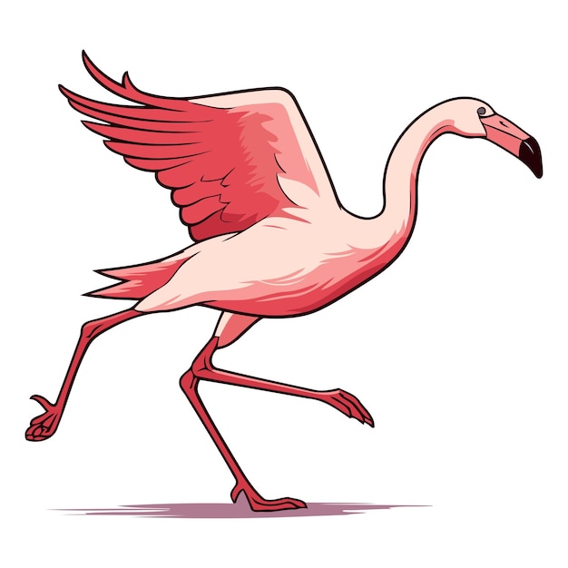Vector flamingo rosado aislado sobre un fondo blanco