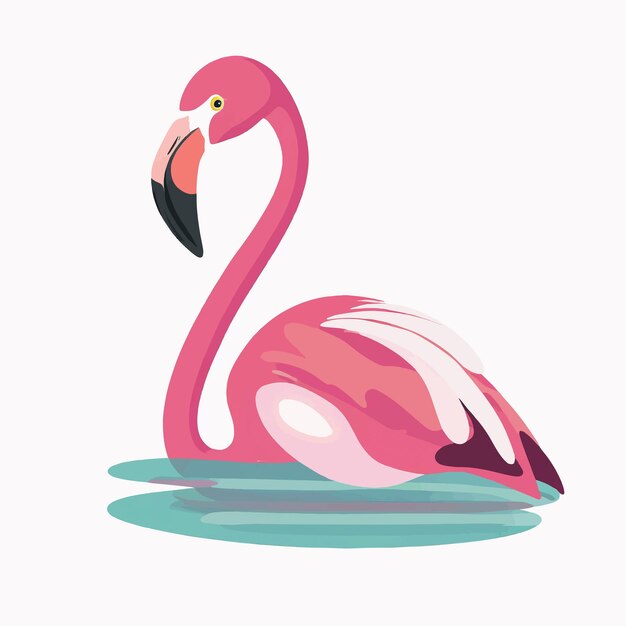 Flamingo sobre un fondo blanco