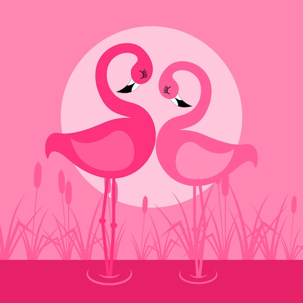 Flamingo