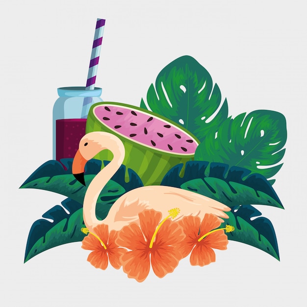 Vector flamish animal con sandía fruta y bebida