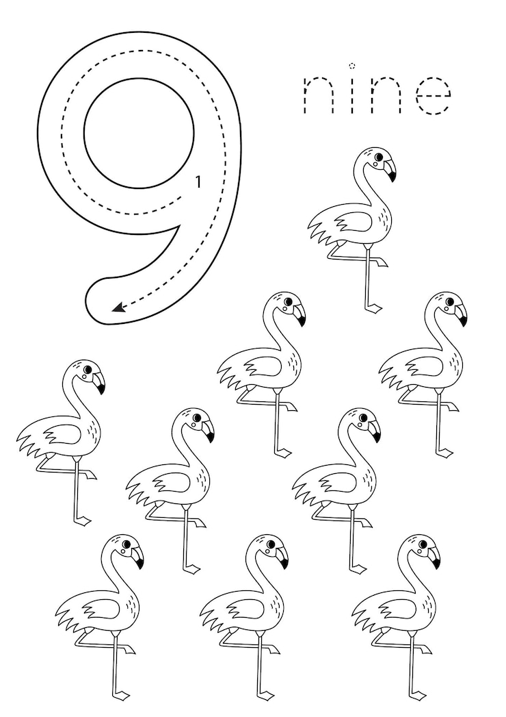 Vector flashcard número 9 hoja de trabajo preescolar lindos flamencos de dibujos animados