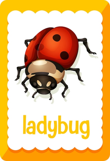 Flashcard de vocabulario con la palabra ladybug