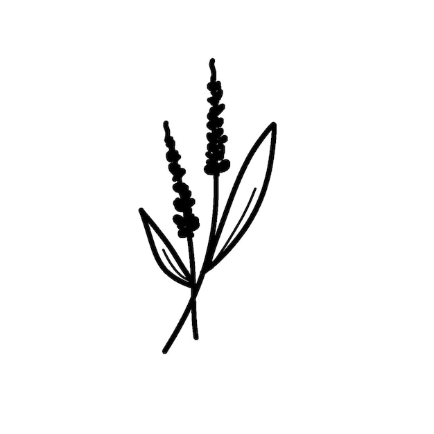 flor 8