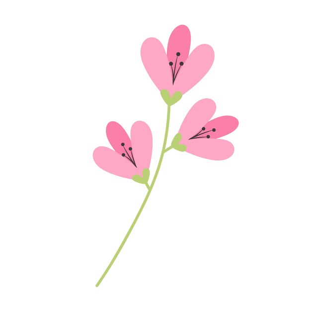 flor, aislado, blanco, plano de fondo, floral, garabato, icono