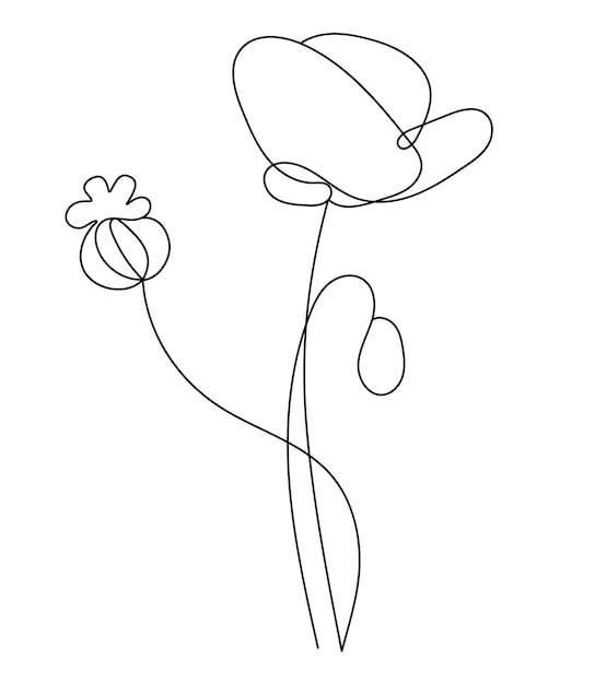 Flor de amapola Lineal dibujado a mano dibujo minimalista línea continua Contorno planta flor con capullo