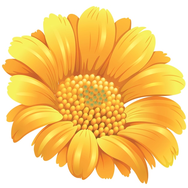 Vector flor amarilla sobre un fondo blanco