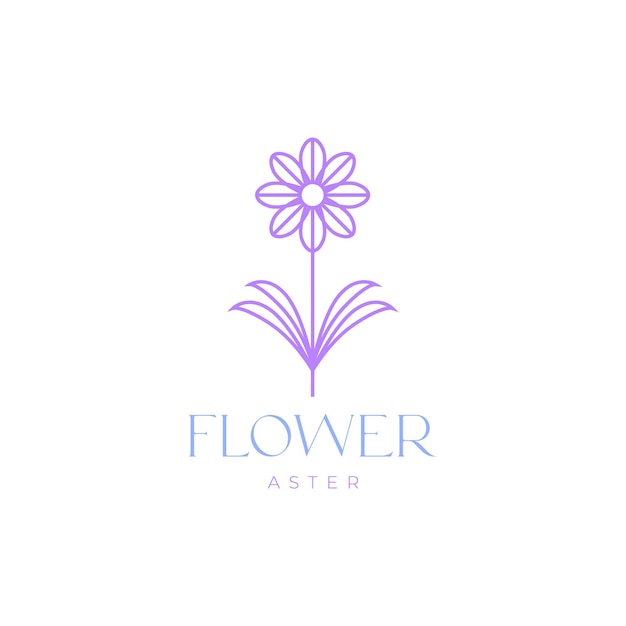 Flor aster belleza coloreada línea geométrica abstracta diseño de logotipo mínimo vector icono ilustración plantilla