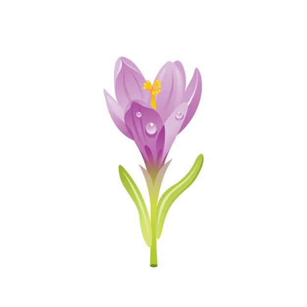 Flor de azafrán icono floral Dibujos animados realistas linda planta flor primavera jardín símbolo Ilustración vectorial para tarjeta de felicitación camiseta impresión decoración diseño Aislado sobre fondo blanco
