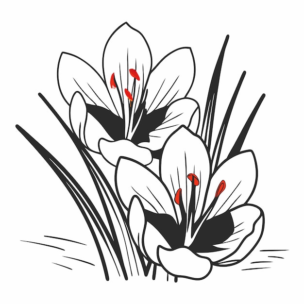 La flor del azafrán