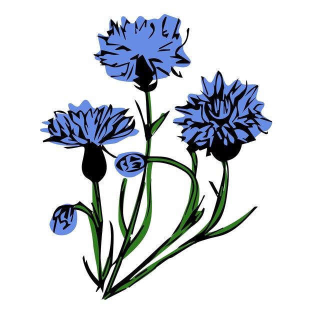 Flor azul con hojas de línea negra sobre fondo blanco. ilustración vectorial