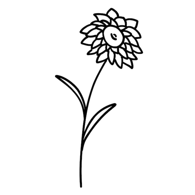 Flor blanca y negra para colorear Planta en estilo de dibujo de contorno Ilustración vectorial dibujada a mano
