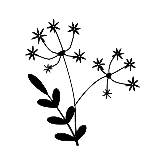Flor de boceto dibujado a mano aislada sobre fondo blanco Estilo de garabato simple