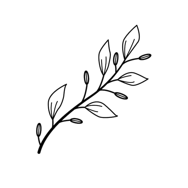 Flor de boceto dibujado a mano aislada sobre fondo blanco Estilo de garabato simple