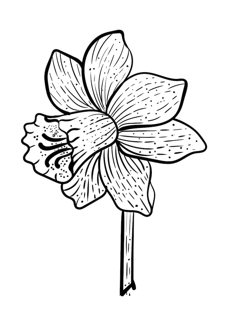 Vector flor botánica aislada línea arte vector floral clipart