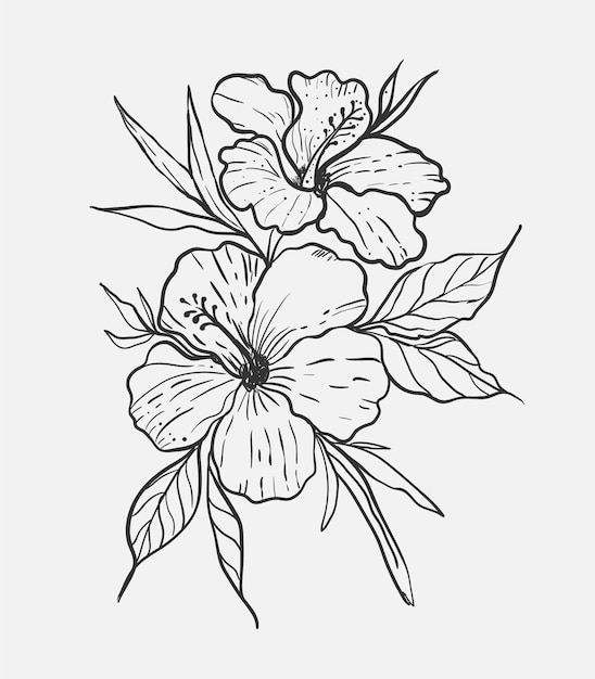 Flor botánica aislada línea arte vector floral clipart