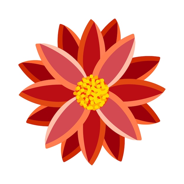 Flor brillante de gerbera crisantemo o margarita Ilustración vectorial botánica aislada en fondo blanco para tela de decoración de carteles de postales y otros usos