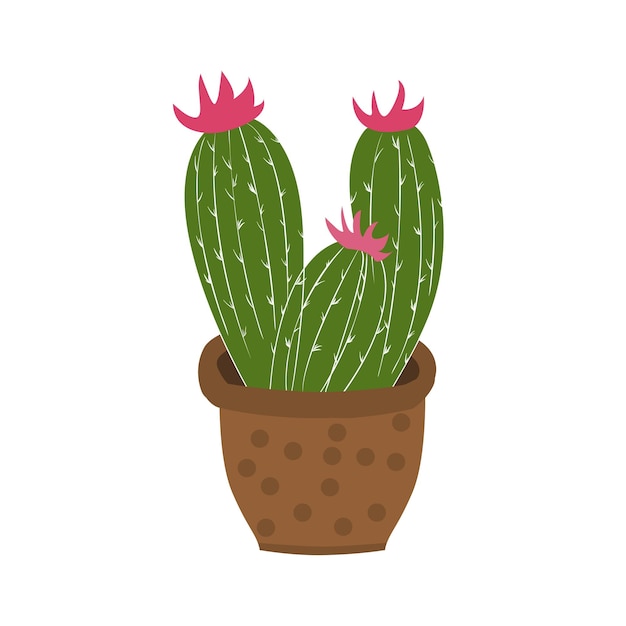 Vector flor de cactus cactus en olla sobre un fondo blanco la ilustración del cactus se puede usar como decoración