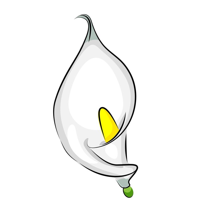 Vector flor de cala en ilustración de vector de elemento de diseño de impresión textil de estilo lineal de dibujos animados