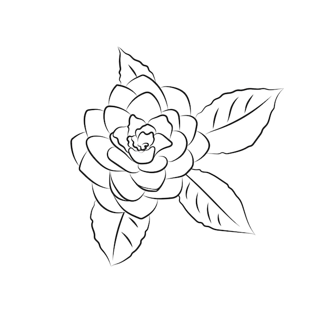 La flor de camelia se dibuja con una línea. Brote exuberante aislado sobre fondo blanco. Line art simple botánico, para tarjetas de boda, invitaciones