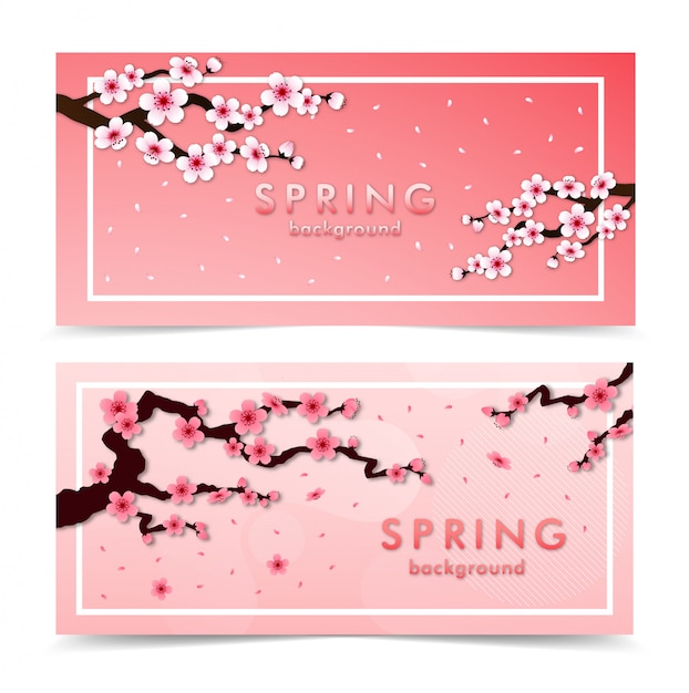 Vector flor de cerezo. conjunto de banner rosa sakura