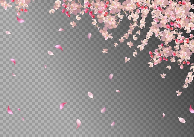 La flor del cerezo y los pétalos voladores en el fondo de la primavera