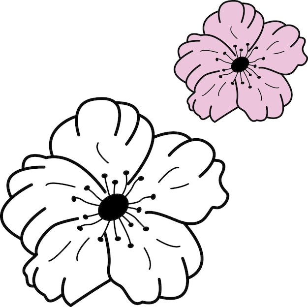 Flor de cerezo de primavera para colorear libro