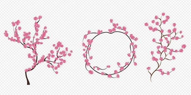 Flor de cerezo de vector libre, rama de sakura con flores rosas.