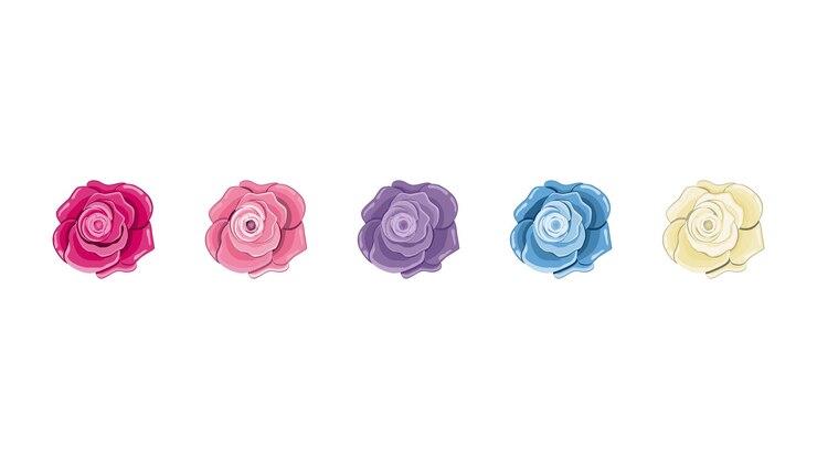 Vector flor color de rosa de colores aislado sobre fondo blanco. ilustración vectorial