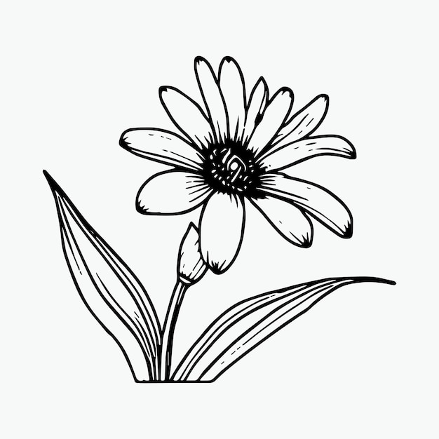 Flor para colorear página de dibujo a mano elemento de color blanco y negro
