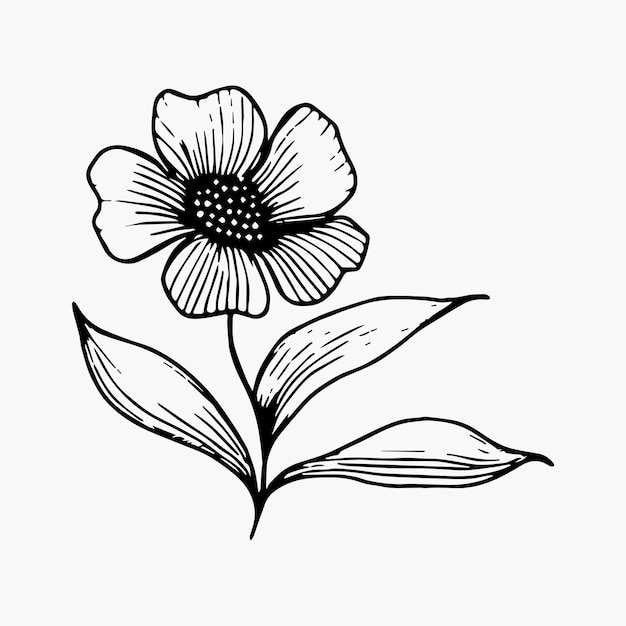 Flor para colorear página de dibujo a mano elemento de color blanco y negro