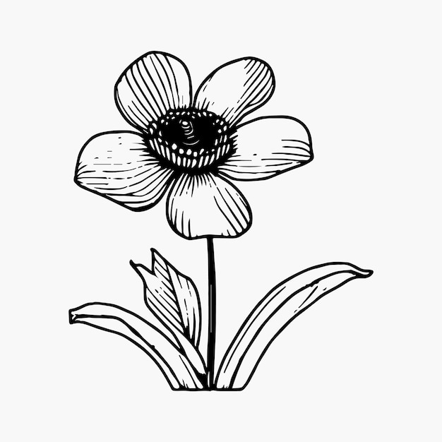 Flor para colorear página de dibujo a mano elemento de color blanco y negro