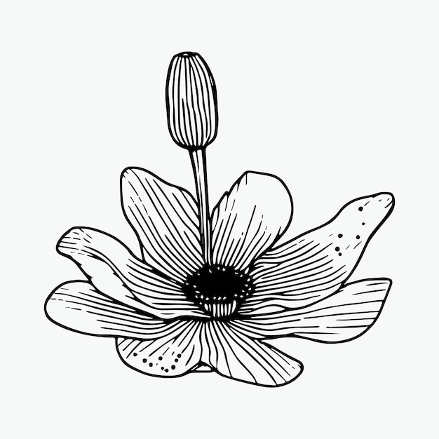 Flor para colorear página de dibujo a mano elemento de color blanco y negro