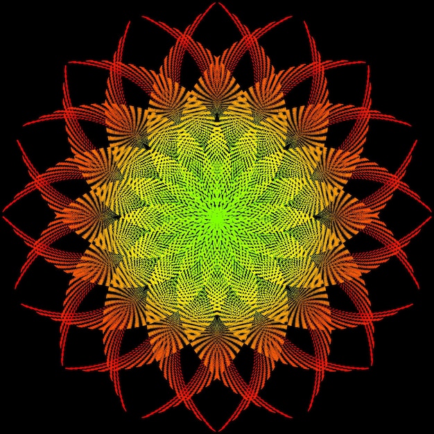 Flor colorida o estrella está aislada sobre fondo negro