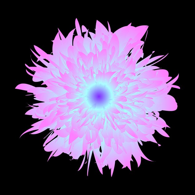 Flor de crisantemo abstracta de color brillante sobre un fondo negro