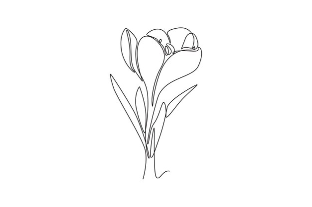 Flor de crocus decorativa impresible para tarjetas de invitación
