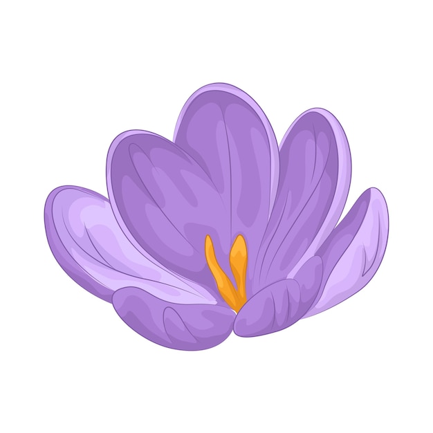 flor de crucero