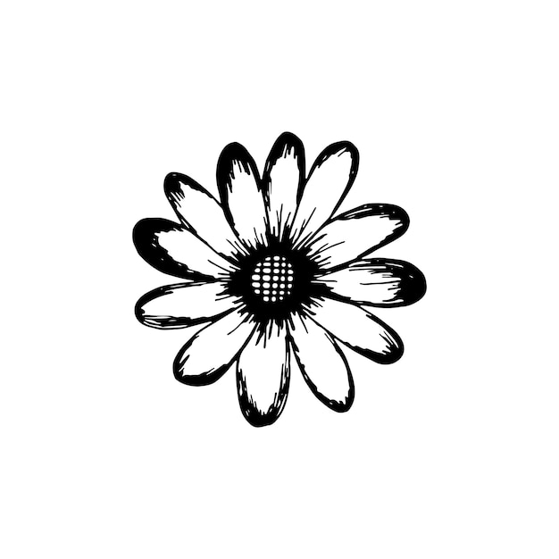 Flor dibujada a mano aislada sobre fondo blanco. Ilustración de dibujo de doodle decorativo. Elemento floral de vector.