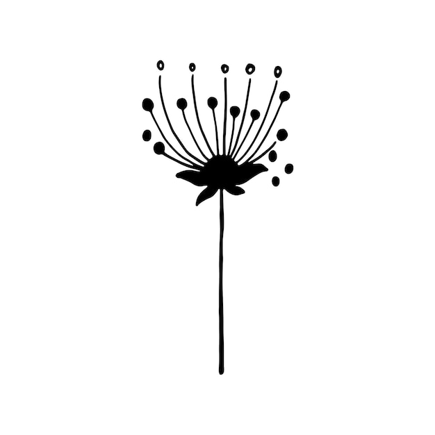 Flor dibujada a mano aislada sobre fondo blanco. Ilustración de dibujo de fideos decorativos. Elemento floral vectorial.