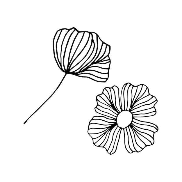 Flor dibujada a mano, dibujo de fideos sobre un fondo blanco. Vector dibujado a mano con flores. Floral