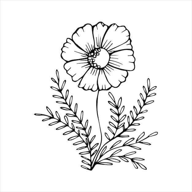 Flor dibujada a mano elemento único para colorear imagen vectorial en blanco y negro