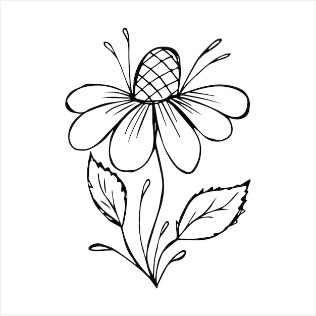Flor dibujada a mano elemento único para colorear imagen vectorial en blanco y negro