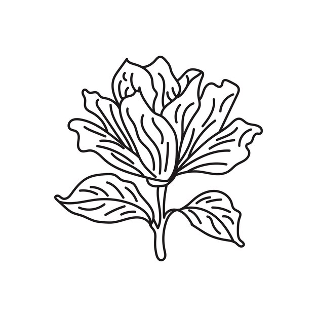 flor dibujada a mano