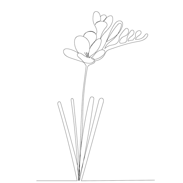 Flor de un dibujo de línea contorno vector aislado